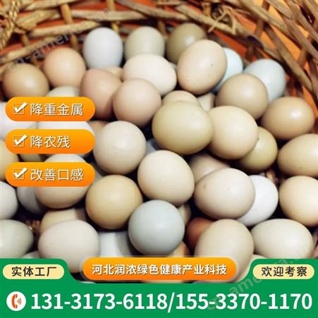 批发供应 含硒七彩山鸡蛋 农家散养绿壳蛋营养丰富 货源稳定