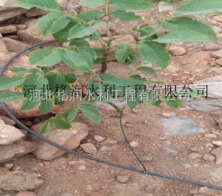 小管出流灌溉系统三门峡果园滴灌毛管生产厂家